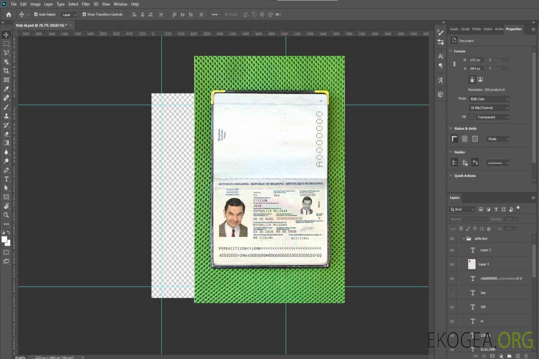 Aperçu photo du passeport moldave (2011-2014) template